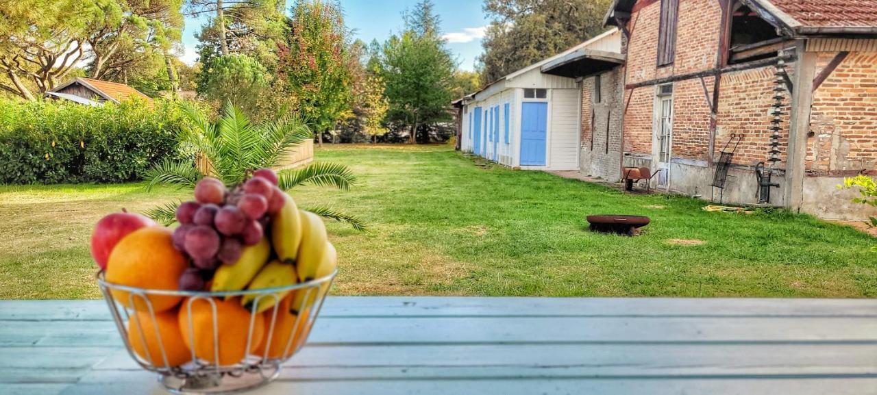 Charmante Maison Dans Les Landes X 10 Avec Piscine Et Salle D Escalade Lue Exterior foto